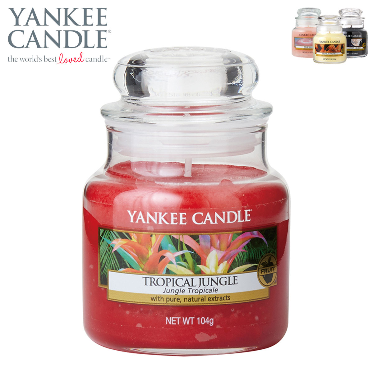 󥭡ɥ ޥɥ Ź YANKEE CANDLE 㡼S ޥɥ YCގS Ďێˎߎَގݎގ K00305318 A49B B3C C3D D0E E00F