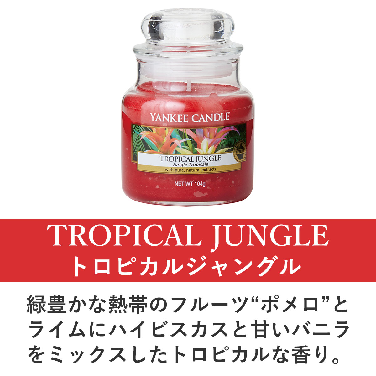 󥭡ɥ ޥɥ Ź YANKEE CANDLE 㡼S ޥɥ YCގS Ďێˎߎَގݎގ K00305318 A49B B3C C3D D0E E00F