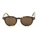С SABRE Ź 󥰥饹 ᤬ DUSTER TORTOISE FRAME BRONZE LENS SUNGLASS SS8-502T-BR-J A55B B3C C3D D1E E04F