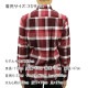 ����ꥫ�󥤡����� ����� ��� ������ AMERICAN EAGLE Ĺµ����� �ܥ�������󥷥�� �����å� AE OXFORD PLAID BUTTON UP SHIRT 0153-1600-613 A04B B1C C1D D6E E11F