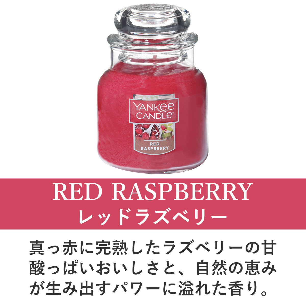 󥭡ɥ ޥɥ Ź YANKEE CANDLE 㡼S ޥɥ YCގS ڎĎގ׎ގ͎ގ؎ K00305251 A49B B3C C3D D0E E00F