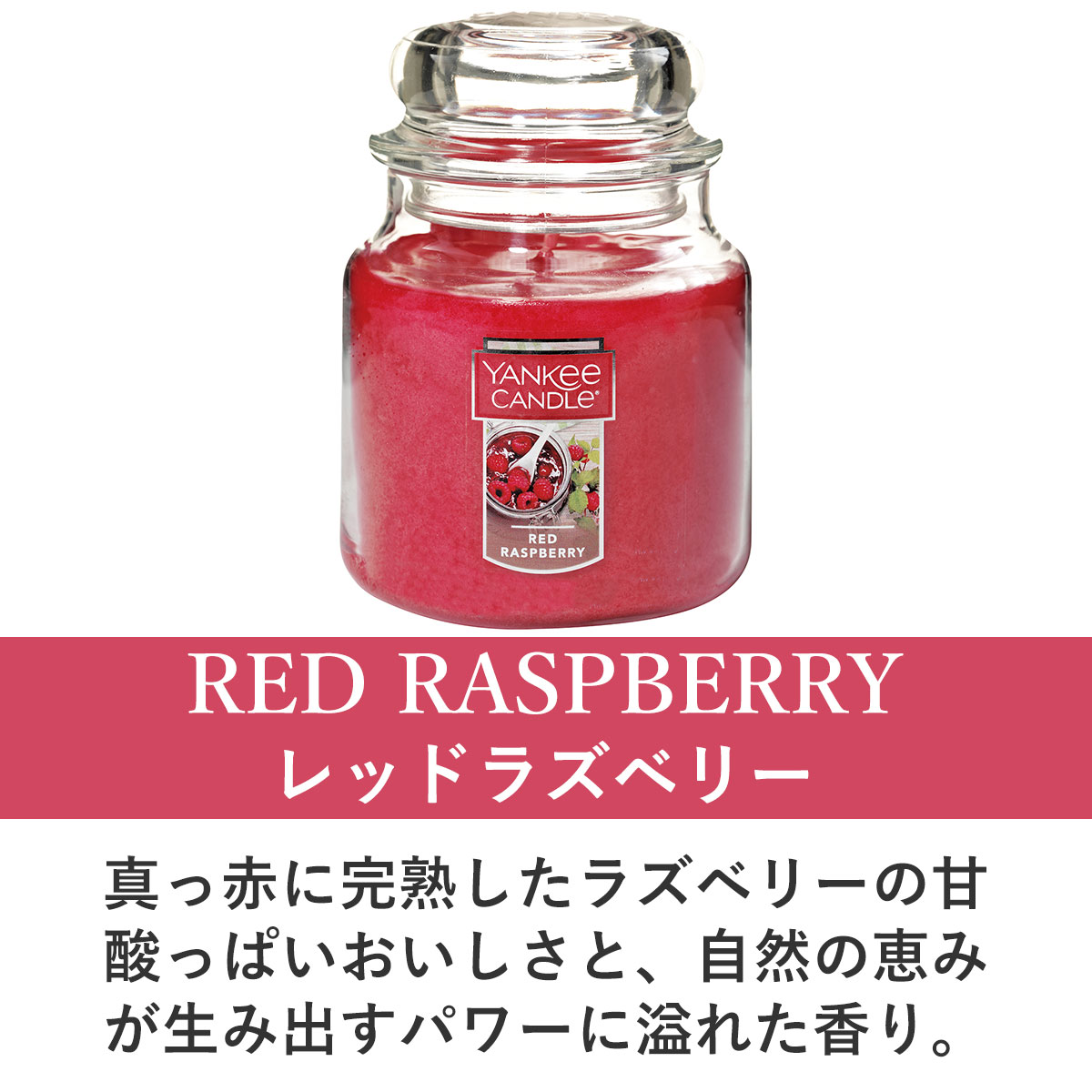 󥭡ɥ ޥɥ Ź YANKEE CANDLE 㡼M ޥɥ YCގM ڎĎގ׎ގ͎ގ؎ K00405251 A49B B3C C3D D0E E00F