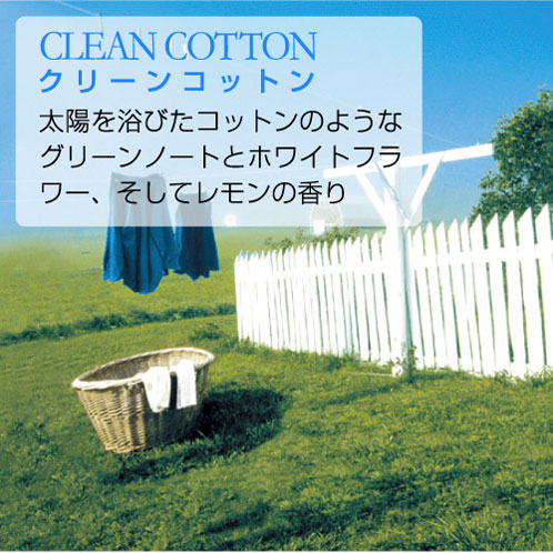 󥭡ɥ ե쥰 Ź YANKEE CANDLE ˧ եåʡ YCގ ؎ݎĎ K3030501 A49B B3C C3D D0E E00F