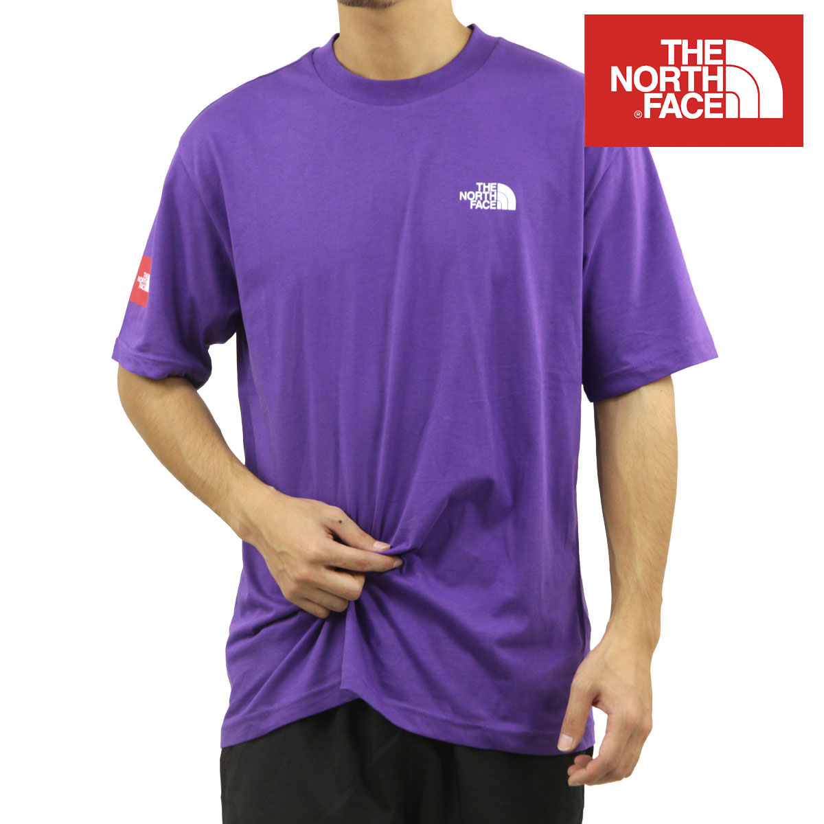 Ρե  ȾµT  THE NORTH FACE 롼ͥå   AXYS SHORT SLEEVE TEE T-SHIRT NF0A89FY NL4 PEAK PURPLE
