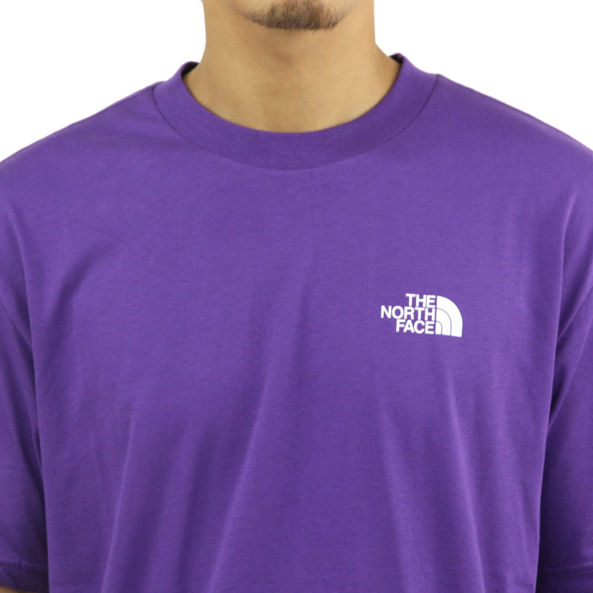 Ρե  ȾµT  THE NORTH FACE 롼ͥå   AXYS SHORT SLEEVE TEE T-SHIRT NF0A89FY NL4 PEAK PURPLE