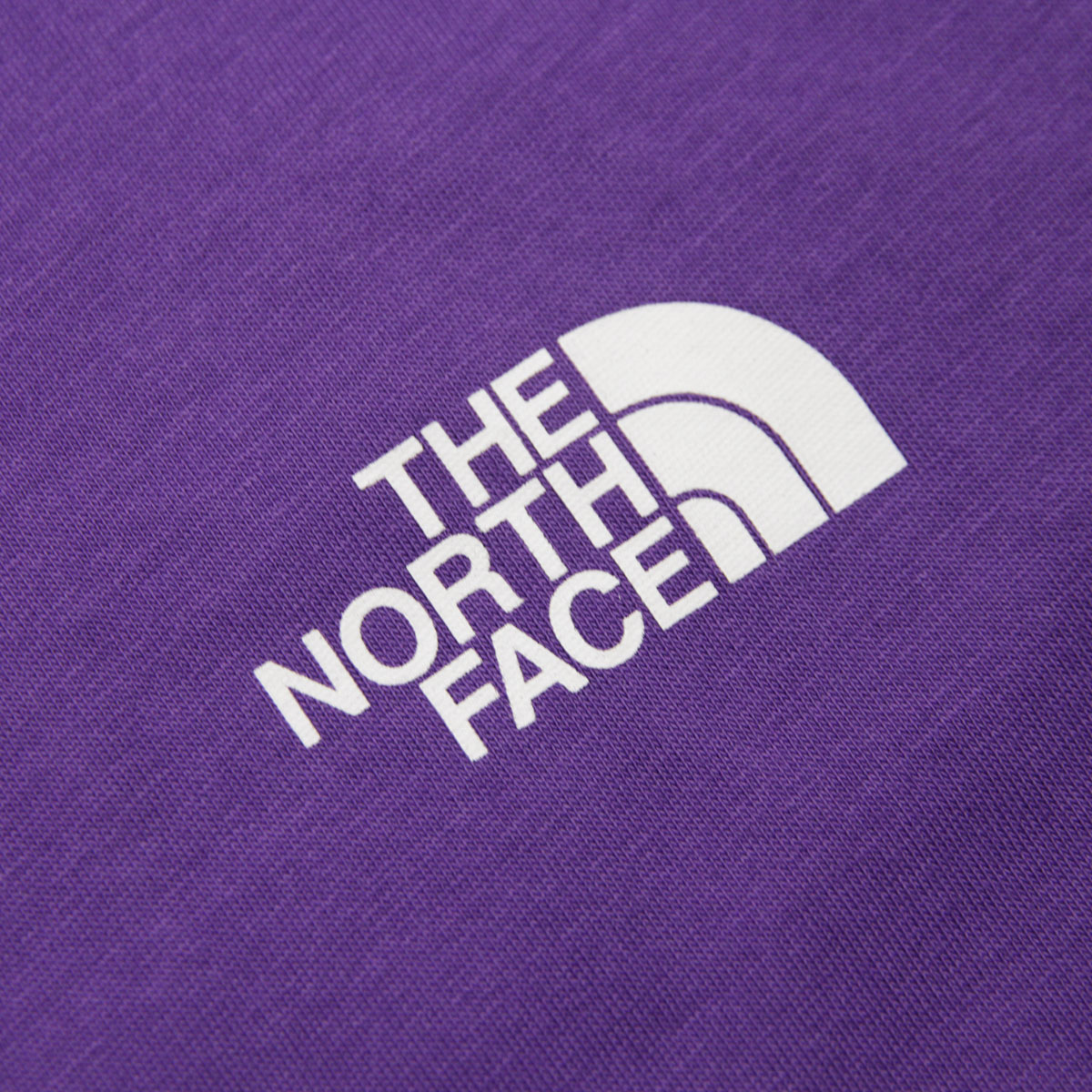 �Ρ����ե����� ��� ȾµT����� ������ THE NORTH FACE ���롼�ͥå� ���� �������� AXYS SHORT SLEEVE TEE T-SHIRT NF0A89FY NL4 PEAK PURPLE