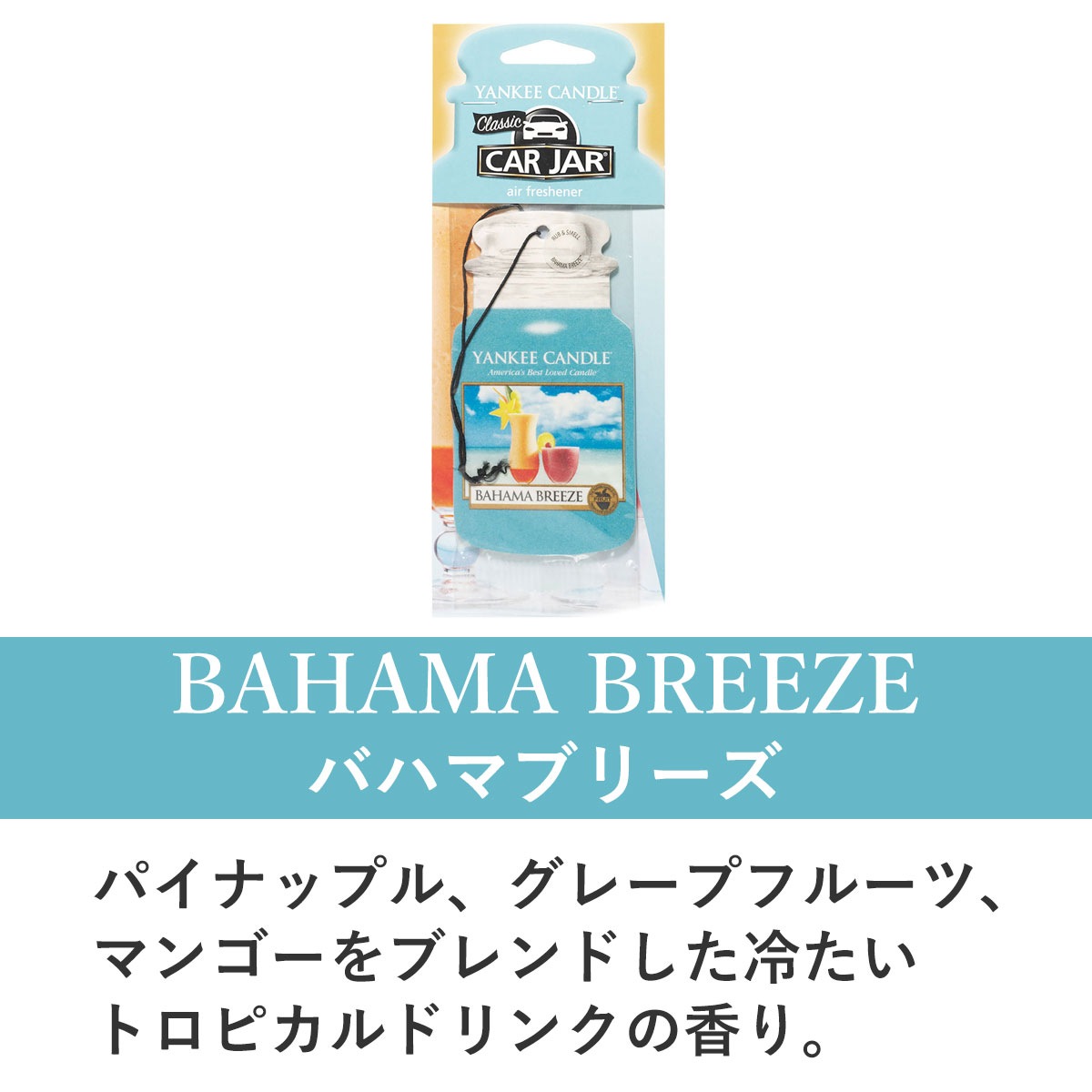 󥭡ɥ ե쥰 Ź YANKEE CANDLE ˧ եåʡ YCގ ʎގʎώ̎ގ؎ K30305146 A49B B3C C3D D0E E00F