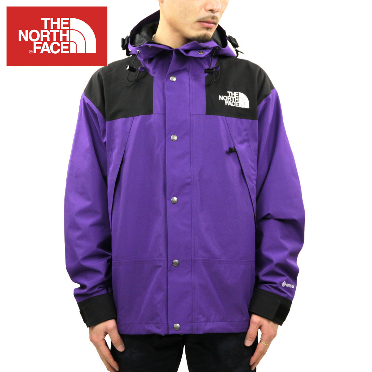 GORE-TEX 紫色ジャケット ノースフェイス ジャケット ゴアテックス メンズ 正規品 THE NORTH