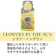 ��󥭡������ɥ� �ե쥰��� ��������Ź YANKEE CANDLE ����˧��� �����̎ڎ��ގ׎ݎ����؎��̎� �̎׎܎����ݎ��ގ��� K33105274 A49B B3C C2D D5E E00F