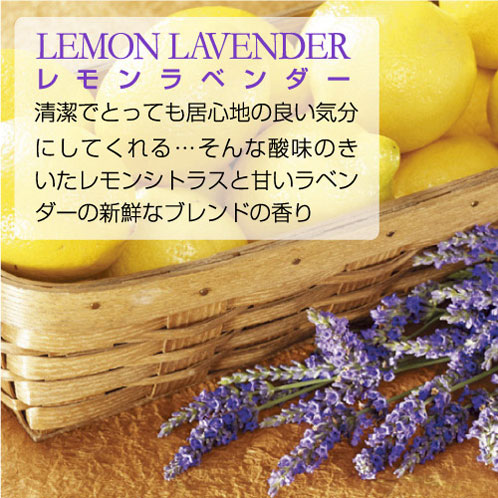 ��󥭡������ɥ� �ե쥰��� ��������Ź YANKEE CANDLE ����˧��� �����̎ڎ��ގ׎ݎ����؎��̎� �ڎӎݎ׎͎ގݎ��ގ� K3310530 A49B B3C C2D D5E E00F