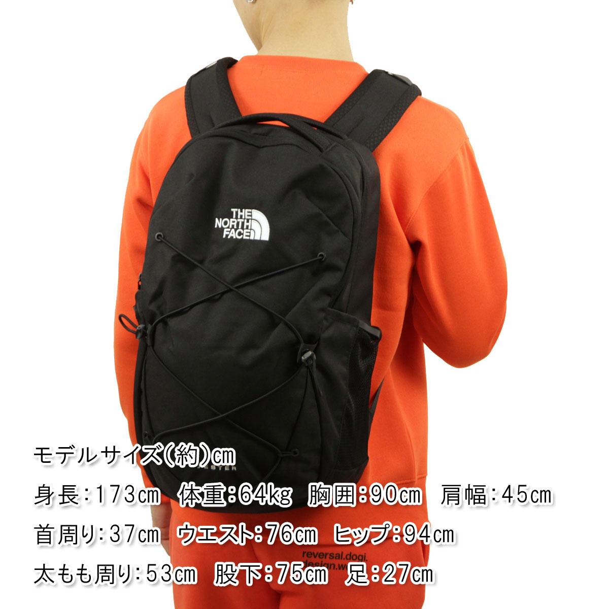 �Ρ����ե����� �Хå� ��� ��ǥ����� ������ THE NORTH FACE �Хå��ѥå� ���å����å� JESTER BACKPACK NF0A3VXF JK3 TNF BLACK A14B B3C C8D D3E E13F