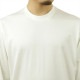 磻꡼  ĹµT  Y-3 롼ͥå åȥ  GFX LS TEE IZ3121 OFF WHITE