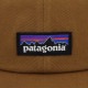 �ѥ����˥� ��� ��ǥ����� ����å� ������ patagonia ���� ˹�� P-6 LABEL TRAD CAP 38296 DRBN DEER BROWN
