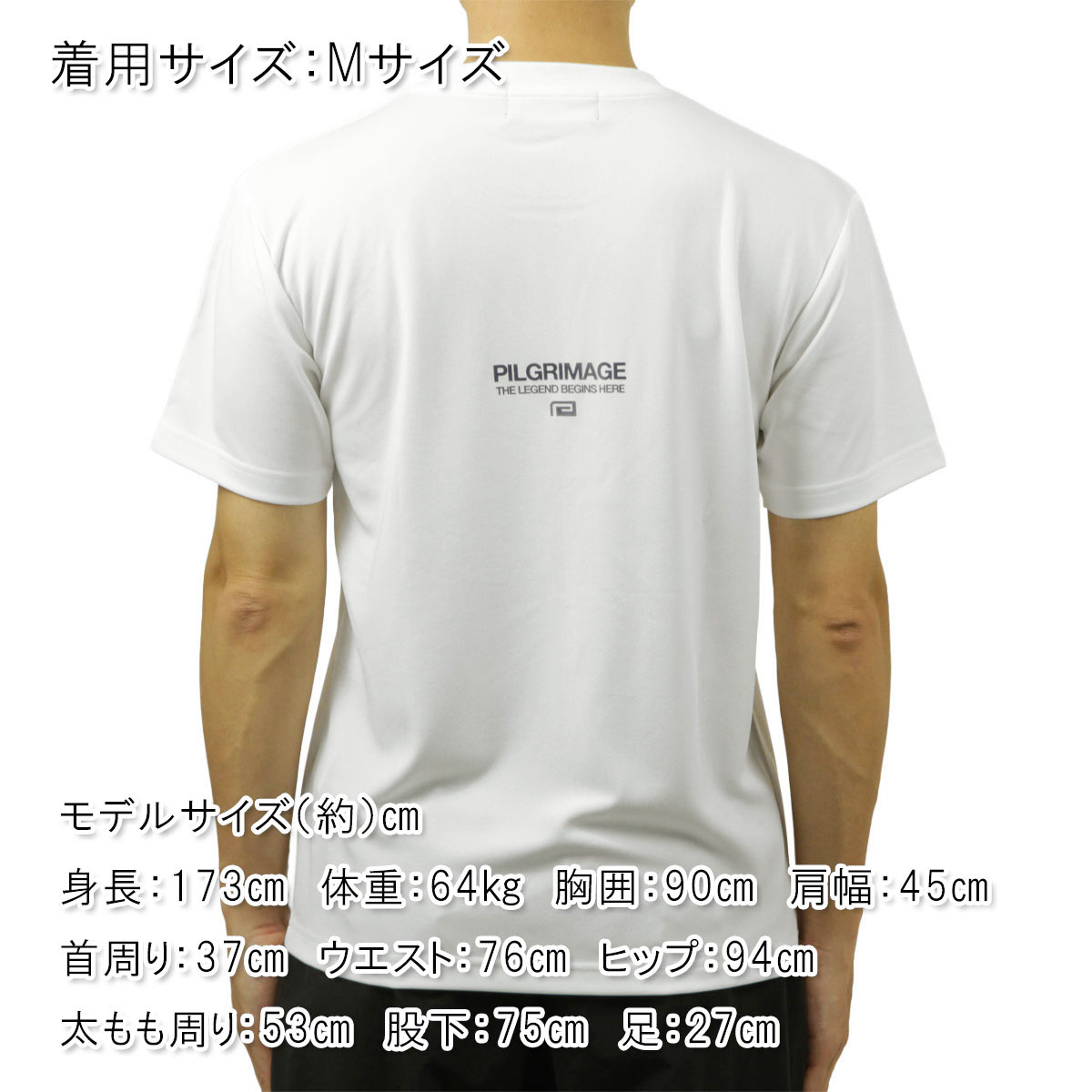 ��С����� ��� ȾµT����� ��������Ź REVERSAL ���롼�ͥå� ���� �ɥ饤T����� PILGRIMAGE BIG MARK DRY TEE �Ύ܎��� rv26aw052 WH WHITE A06B B1C C1D D1E E01F