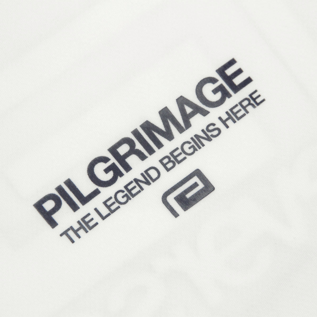��С����� ��� ȾµT����� ��������Ź REVERSAL ���롼�ͥå� ���� �ɥ饤T����� PILGRIMAGE BIG MARK DRY TEE �Ύ܎��� rv26aw052 WH WHITE A06B B1C C1D D1E E01F