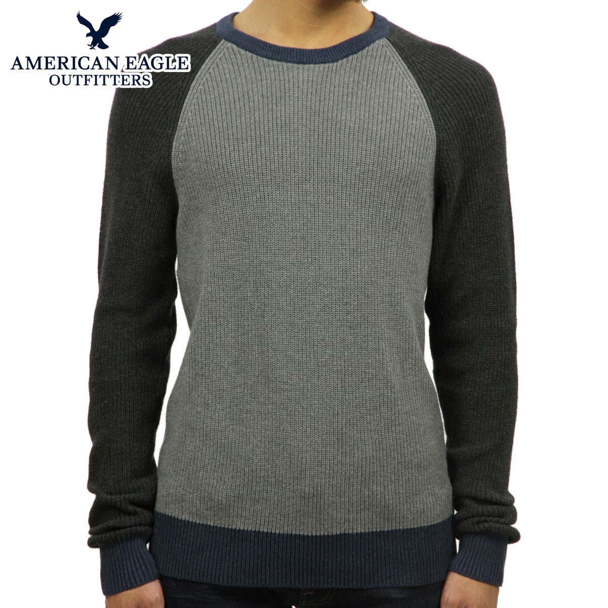 ����ꥫ�󥤡����� �������� ��� ������ AMERICAN EAGLE  CREW SWEATER 0512-6110