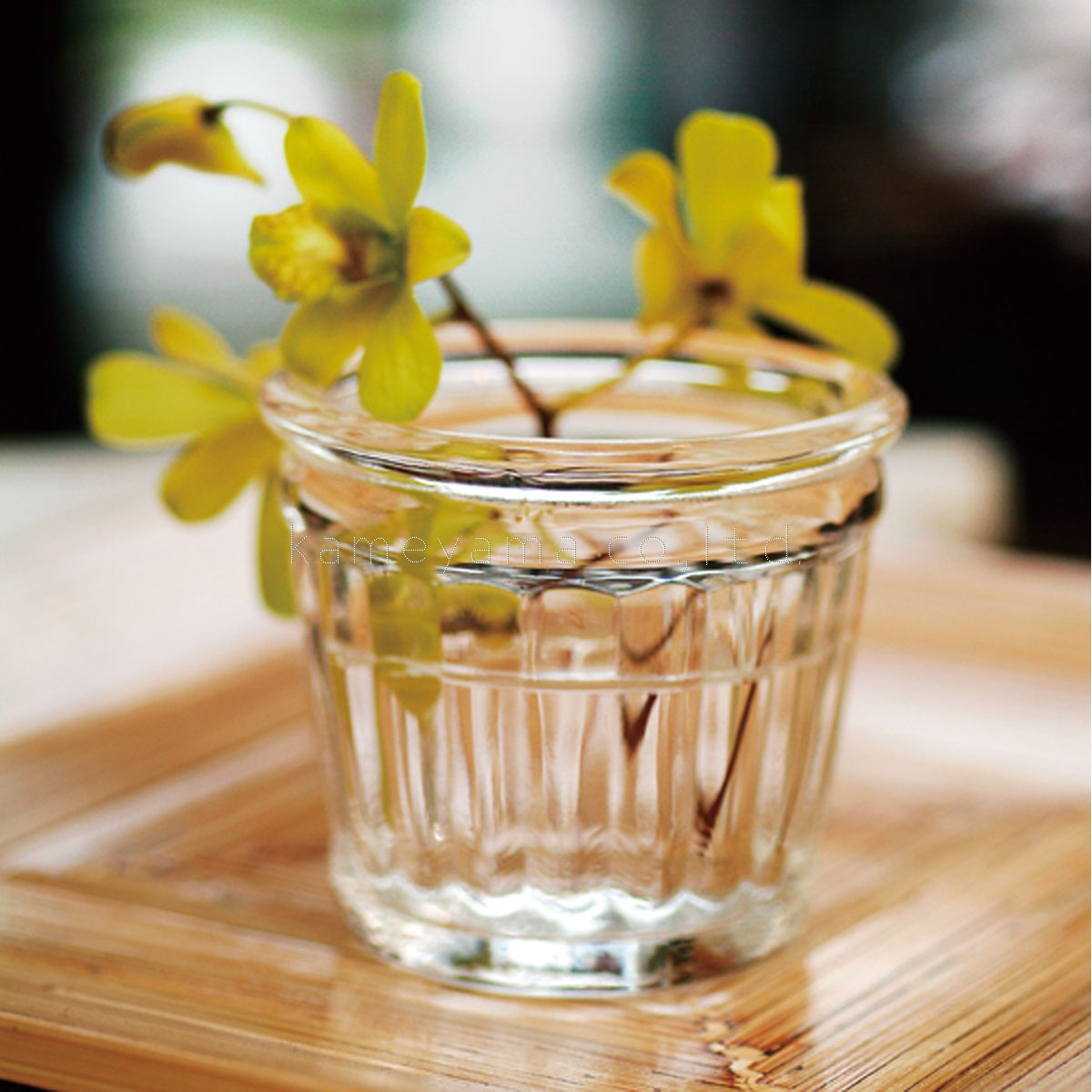 󥭡ɥ ץ顼 Ź YANKEE CANDLE 饹ۥ ݎĎގَΎَގ َ̎ÎĎގގ׎ I8320100 A49B B3C C3D D0E E00F