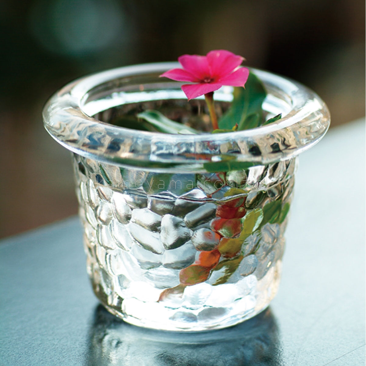 󥭡ɥ ץ顼 Ź YANKEE CANDLE 饹ۥ ݎĎގَΎَގ ʎݎώĎގގ׎׎Ďʎ ؎ I8490000W A49B B3C C3D D0E E00F