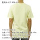 �����ԥ��� T����� ��� ������ CHAMPION �إ�ơ���T����� ȾµT����� CREW TEE GT19 70z HERITAGE TEE LEMON GLACIER AA4B B1C C1D D1E E12F