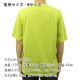 �ʥ� ��� ȾµT����� ��������Ź NANGA �ݥꥨ���ƥ� �ե졼����� DRY MIX FRAME LOGO TEE MUSTARD NW2221-1G503 MUSTARD