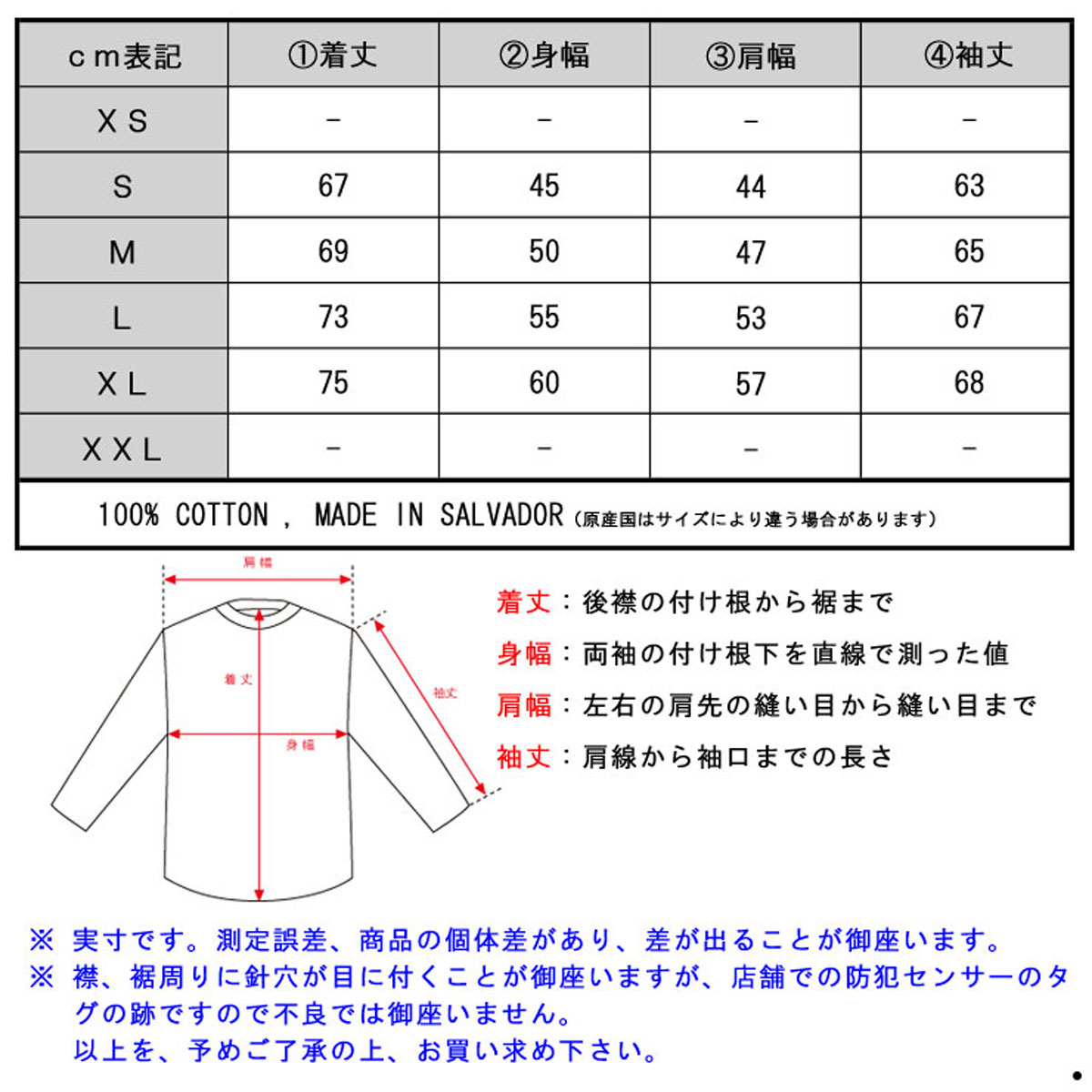 �����ԥ��� ����T ��� ������ CHAMPION ĹµT����� L/S TEE T2229 Cotton Long Sleeve Tee GUX-SURFTHEWEB C logo on left sleeve D00S20
