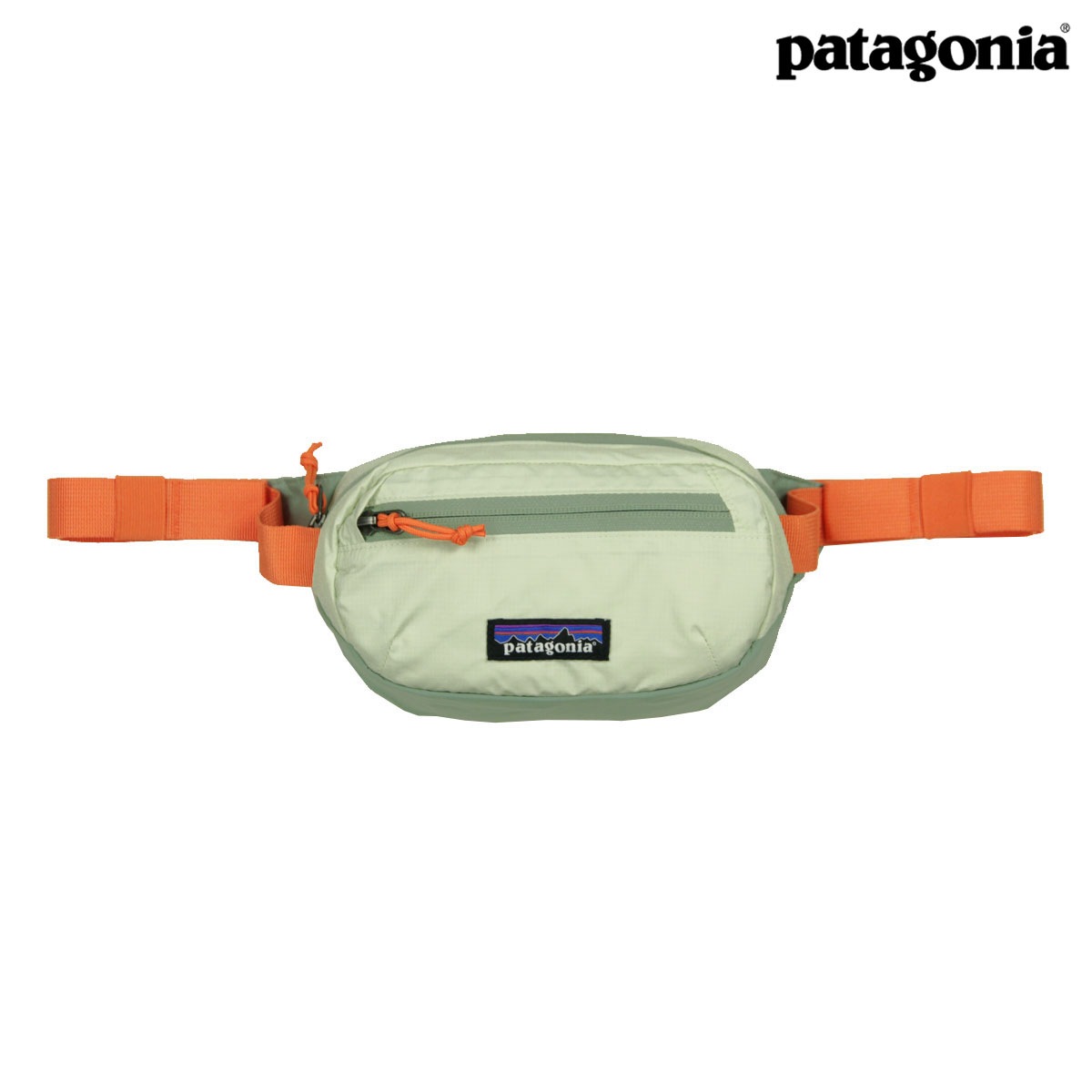 �ѥ����˥� ��� ��ǥ����� �ܥǥ��Хå� ������ patagonia �ҥåץѥå� ���������Хå� �� TERRAVIA MINI HIP PACK BAG 49448 LNGR LICHEN GREEN