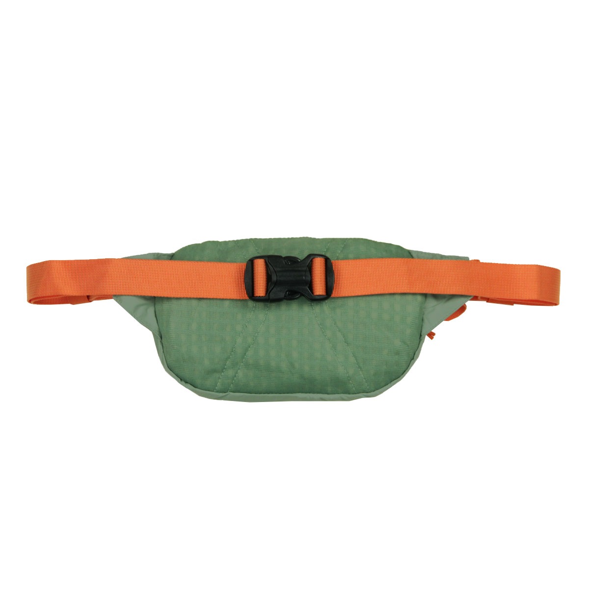 �ѥ����˥� ��� ��ǥ����� �ܥǥ��Хå� ������ patagonia �ҥåץѥå� ���������Хå� �� TERRAVIA MINI HIP PACK BAG 49448 LNGR LICHEN GREEN