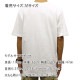�����ϡ��� T����� ������ CARHARTT ȾµT����� WORKWEAR POCKET SHORT-SLEEVE T-SHIRT K87 WHT WHITE A11B B1C C1D D1E E01F