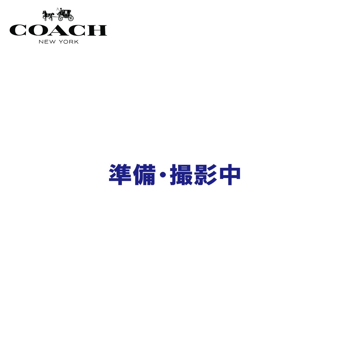 ������ COACH ������ ��ǥ����� �Хå� HOBO F24272 BKHMA A73B B2C C8D D4E E18F