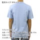ץ T   PROCLUB ȾµT 롼ͥåT HEAVY WEIGHT COTTON SHORT SLEEVE CREW NECK T-SHIRT SKY BLUE #101  礭 AB6B B1C C1D D1E E07F