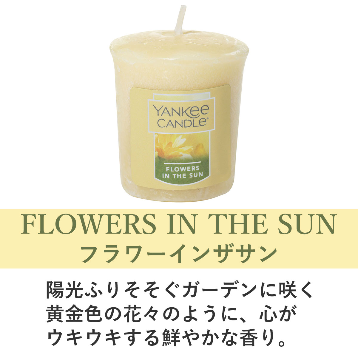 󥭡ɥ ץ顼 Ź YANKEE CANDLE ޥɥ ե쥰 YCݎ̎ߎ׎ ̎׎܎ݎގ K00105274 A49B B3C C3D D0E E00F