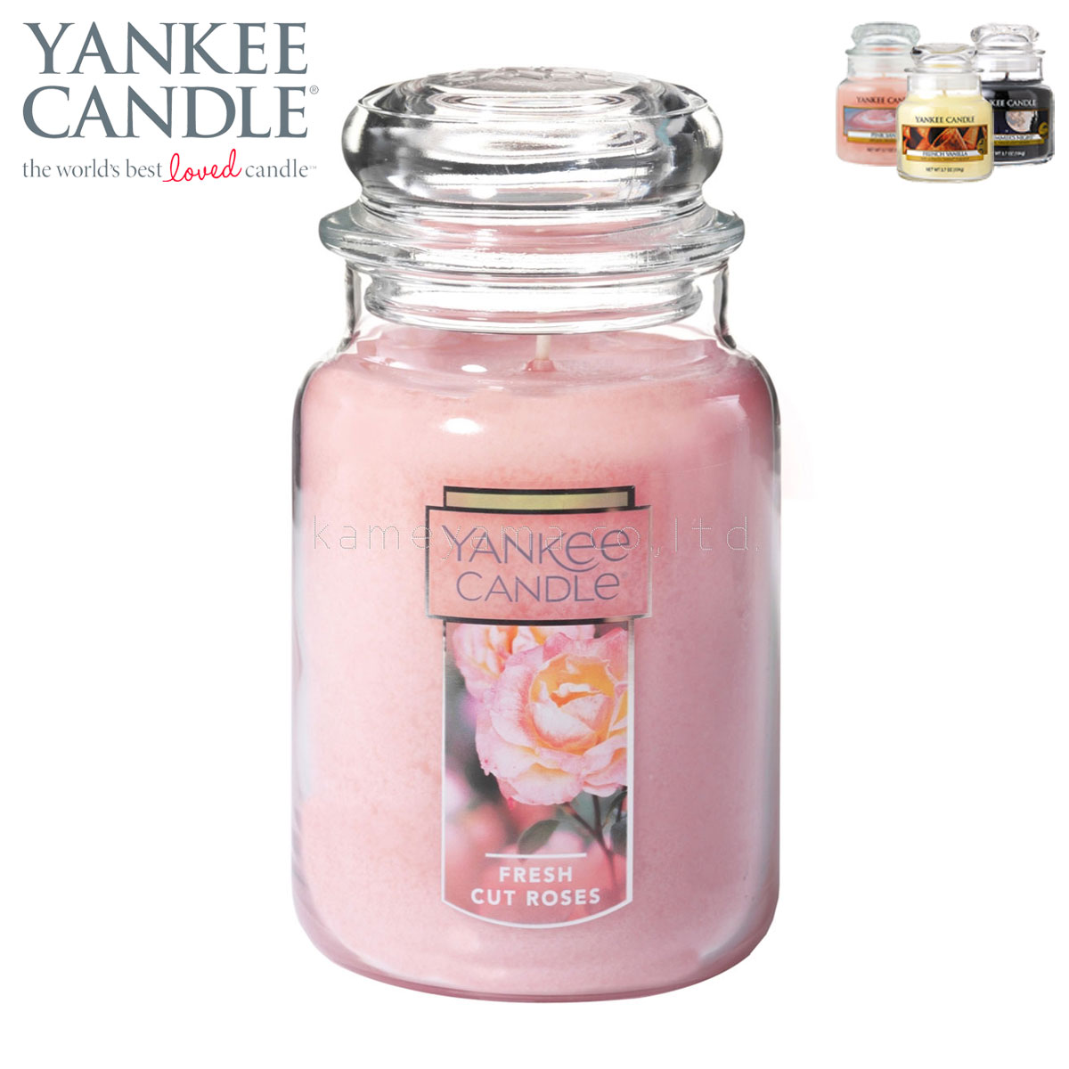 󥭡ɥ YANKEE CANDLE Ź ɥ YCގL ̎ڎĎێ (K0060503) A49B B3C C3D D0E E00F
