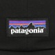 �ѥ����˥� ����å� ��� ��ǥ����� ������ patagonia ˹�� ��������å� P-6 LABEL TRAD CAP BLK 38296 BLACK A53B B3C C3D D4E E13F