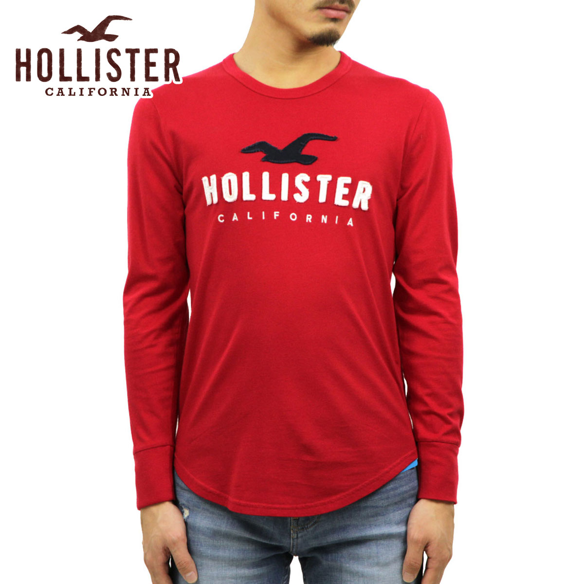 �ۥꥹ���� ����T ��� ������ HOLLISTER ĹµT����� ���롼�ͥå�T����� Applique Logo Graphic Tee 323-248-0193-500