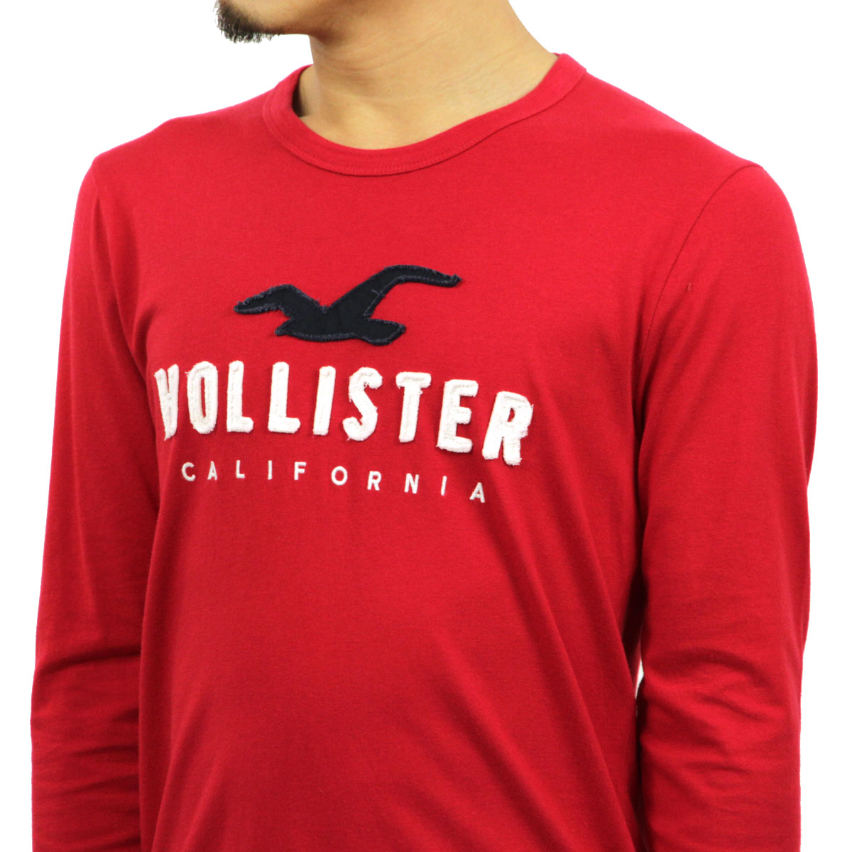 �ۥꥹ���� ����T ��� ������ HOLLISTER ĹµT����� ���롼�ͥå�T����� Applique Logo Graphic Tee 323-248-0193-500