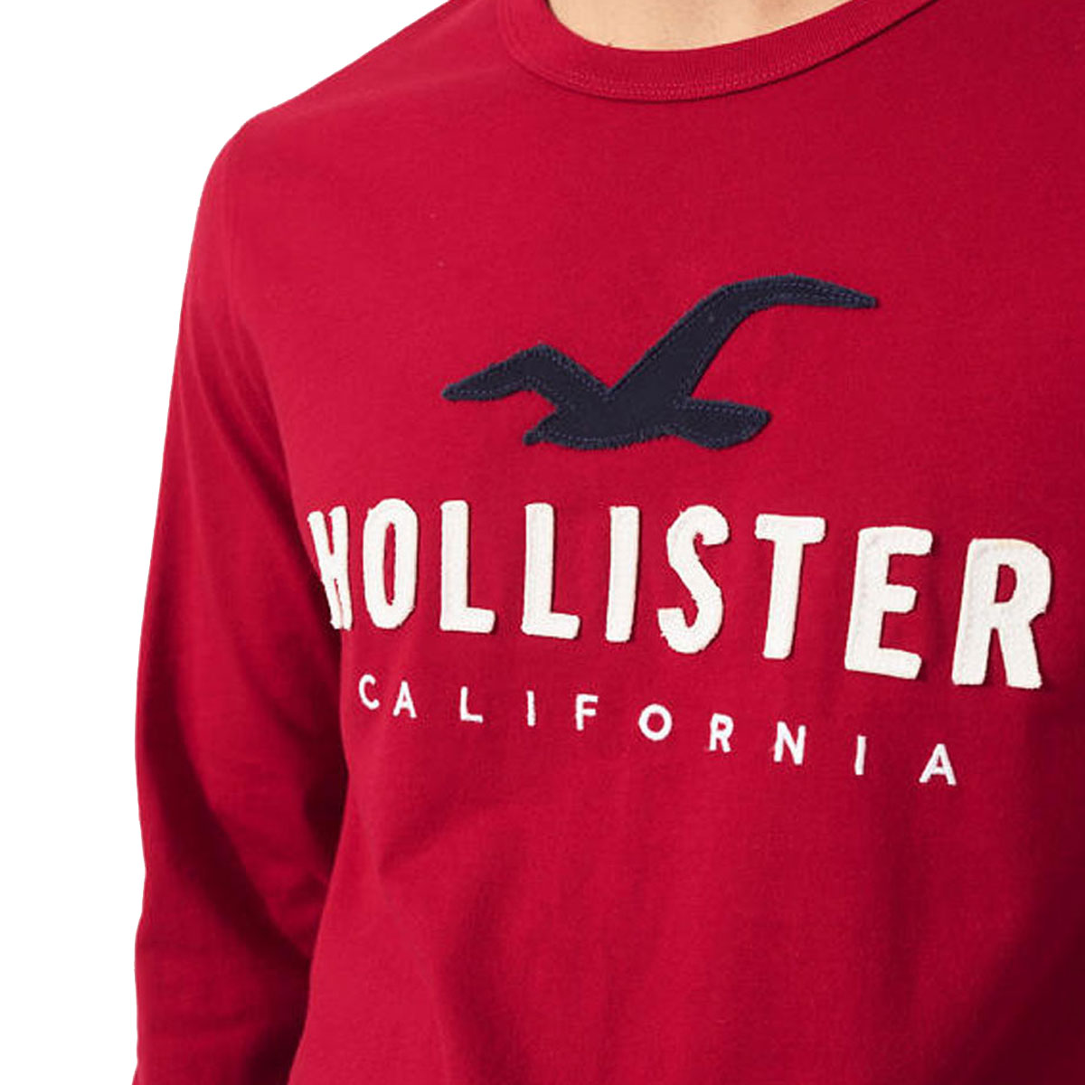 �ۥꥹ���� ����T ��� ������ HOLLISTER ĹµT����� ���롼�ͥå�T����� Applique Logo Graphic Tee 323-248-0193-500