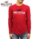 �ۥꥹ���� ����T ��� ������ HOLLISTER ĹµT����� ���롼�ͥå�T����� Applique Logo Graphic Tee 323-248-0193-500