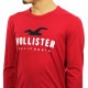 �ۥꥹ���� ����T ��� ������ HOLLISTER ĹµT����� ���롼�ͥå�T����� Applique Logo Graphic Tee 323-248-0193-500