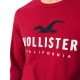 �ۥꥹ���� ����T ��� ������ HOLLISTER ĹµT����� ���롼�ͥå�T����� Applique Logo Graphic Tee 323-248-0193-500