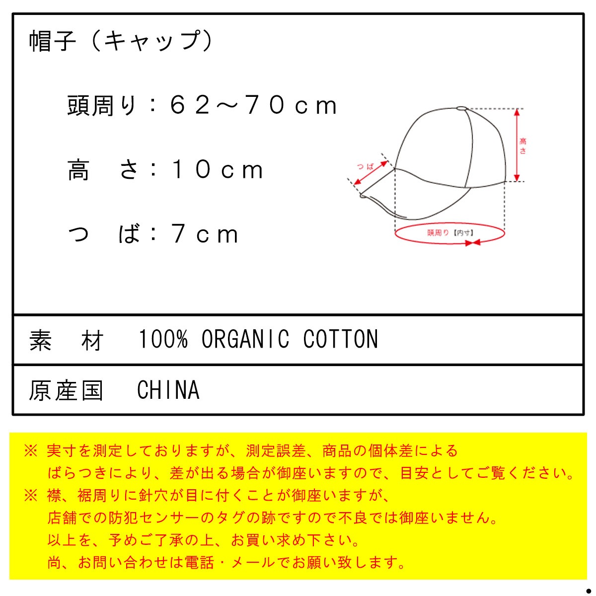 �ѥ����˥� ����å� ��� ��ǥ����� ������ patagonia ˹�� ��������å� P-6 LABEL TRAD CAP NORG 38296 NORTHERN GREEN A53B B3C C3D D4E E08F