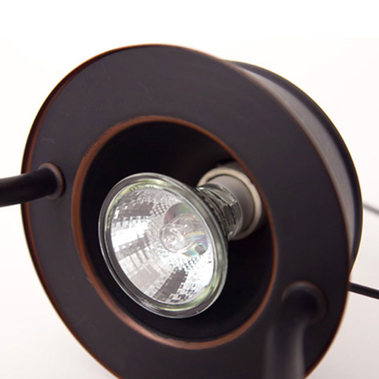 󥭡ɥ YANKEE CANDLE Ź ۥ ݎĎގَώ׎ݎ̎ߎ̎ڎގ׎ݎ׎ŵ (J3580000)