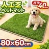 �͹��� �ڥåȥޥå� 1�� 80��60cm �Ǿ�40mm �ե�˥���ž夲 �����륿���� COOOLTurf �ե����ޥå� �� ���� ���� �٥���