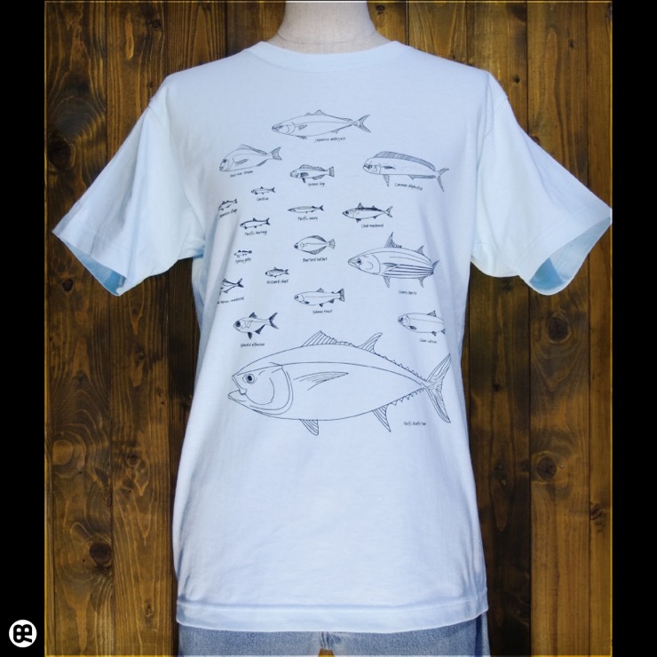 フィッシャーズ：アクアブルー：Tシャツ