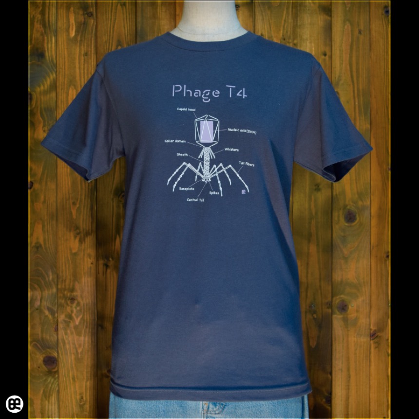 T4ファージ：デニム：Tシャツ