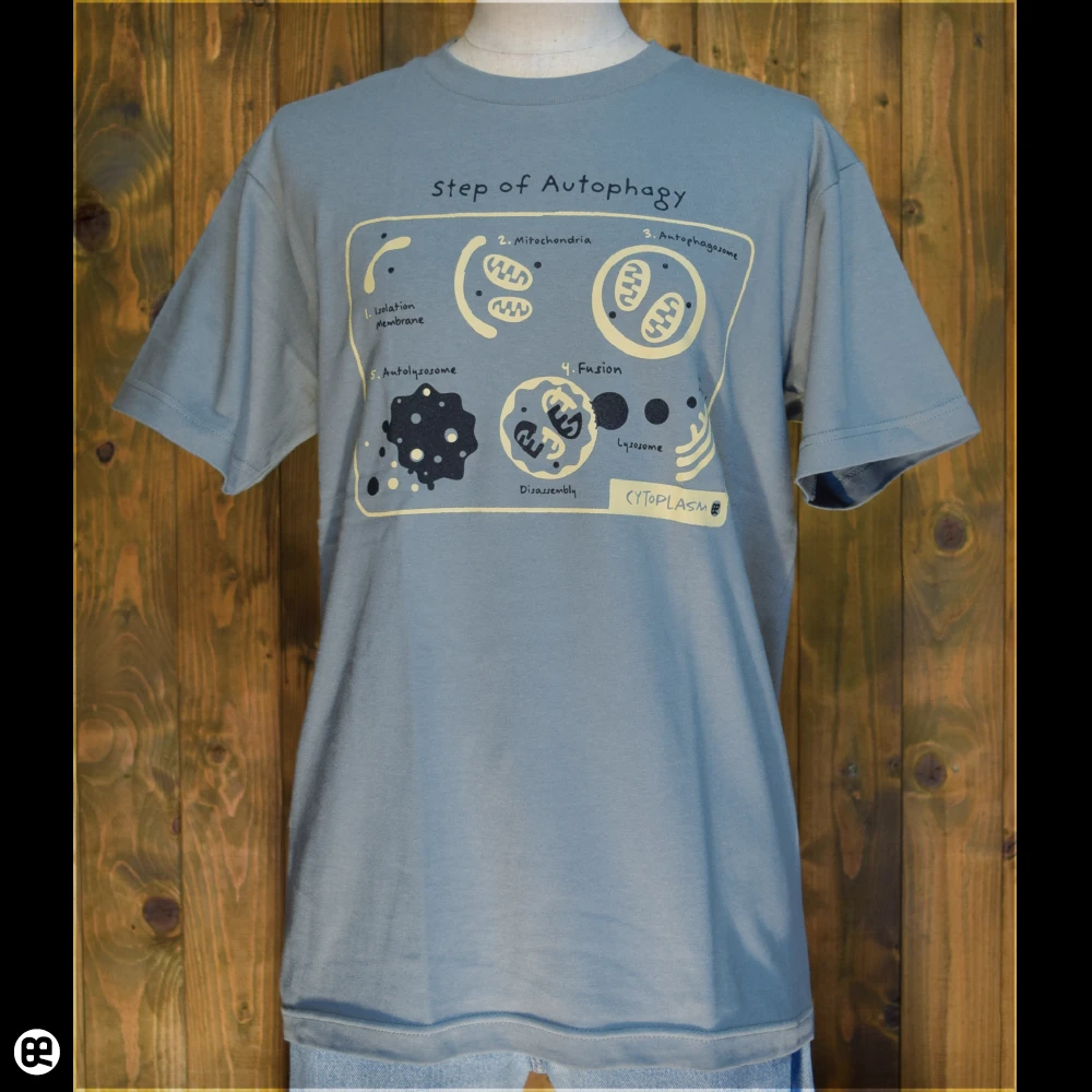 オートファジー：モスグレー：Tシャツ