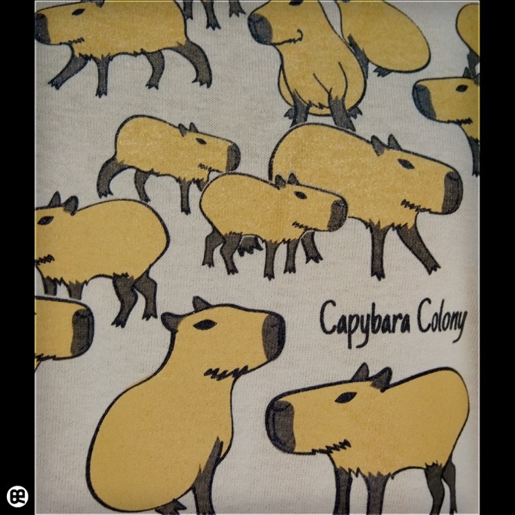 カピの群 : ストーン：TシャツのTシャツ通販【REDBROS.】