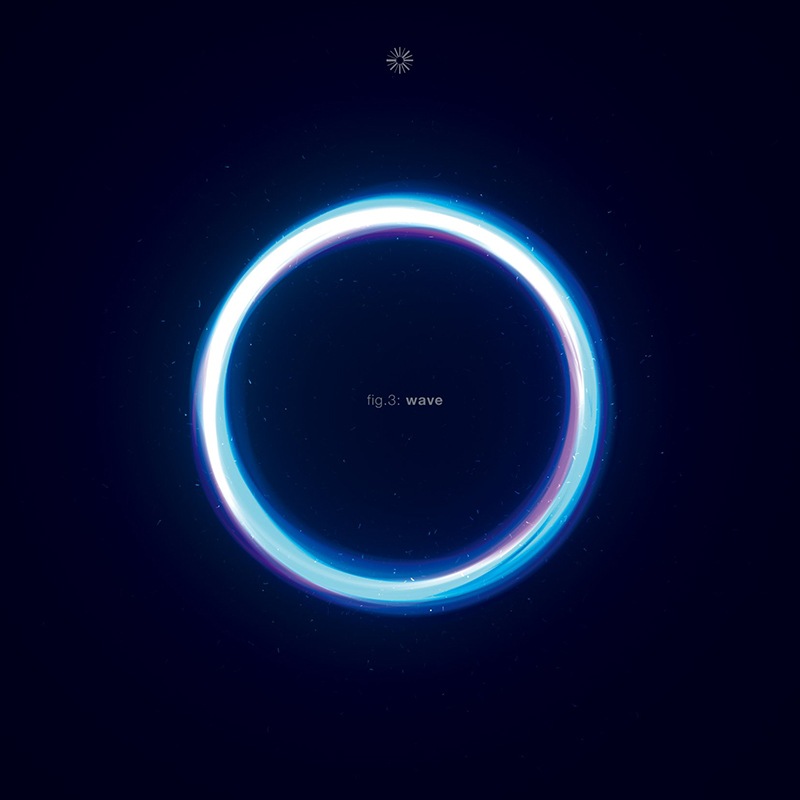 fig.3 -wave-