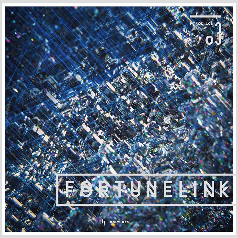 FORTUNE LINK 03 | OTHER LABEL,HolTunes / HX Rec. | TANO*C STORE