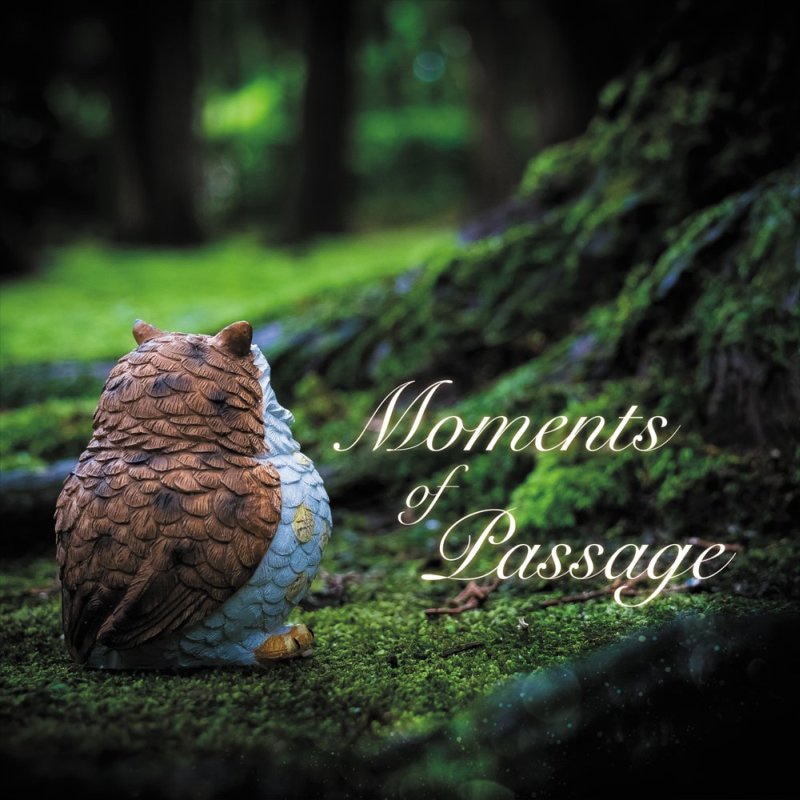 Moments of Passage | OTHER LABEL,As Like Music | TANO*C STORE