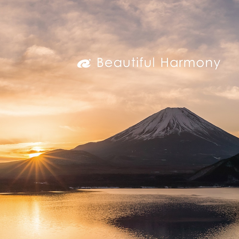 ڽλ Beautiful Harmony / Ryu